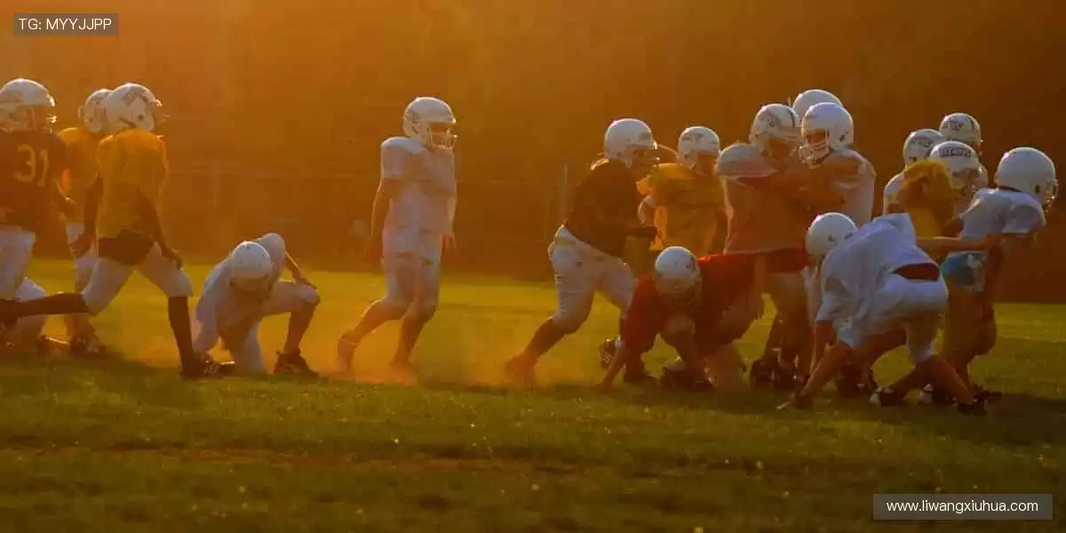 🏆【限量首发】冠军同款，专属你的荣耀珍藏！